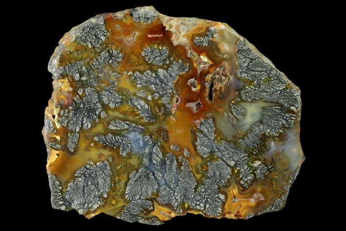 Nipomo Marcasite Agate Slab - Freddie Quarry, California #152684